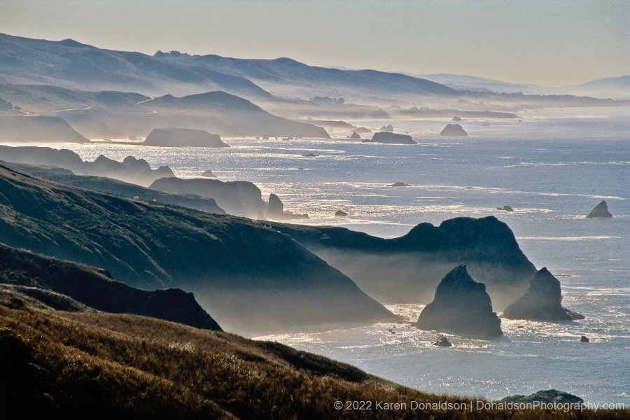Mendocino Coast