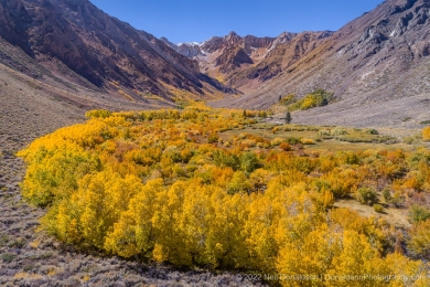 Eastern Sierra Autumn